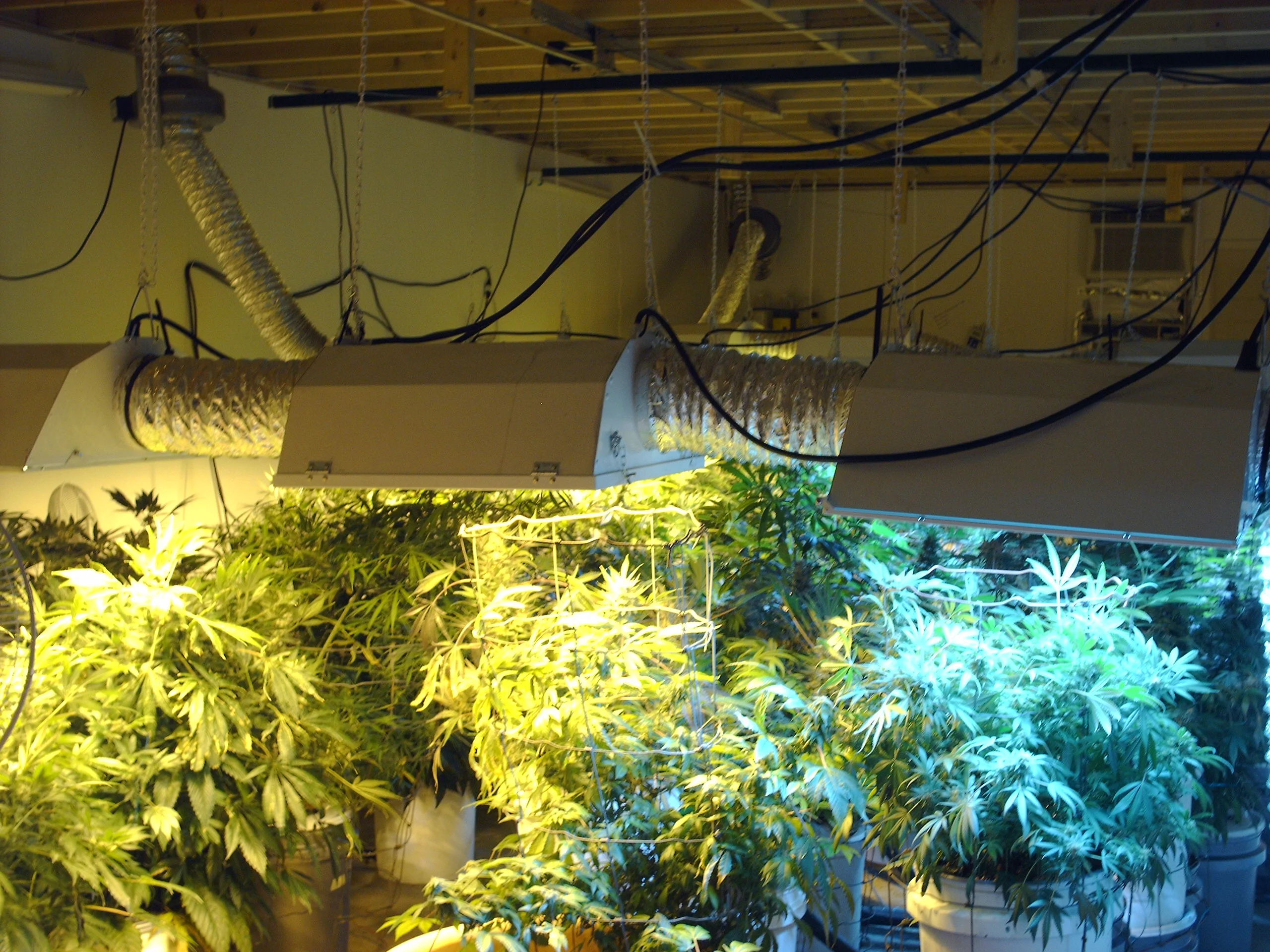 HOME OF AGRAMOVER LIGHT MOVERS